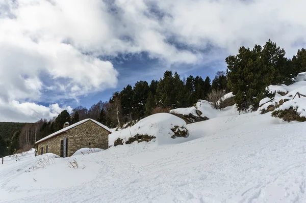 Barınak Pyrenees eteklerinde
