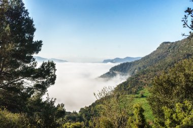 Kalın sabah sis dağlarda.