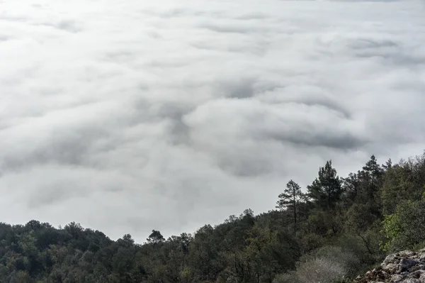 Ayaklarını bulutlara
