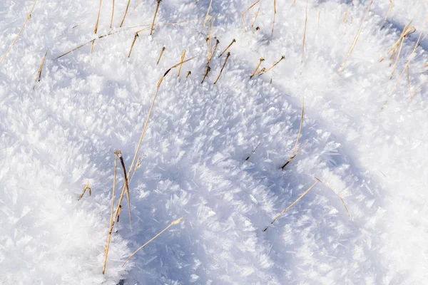 Winter miniatuur met bevroren sneeuw — Stockfoto