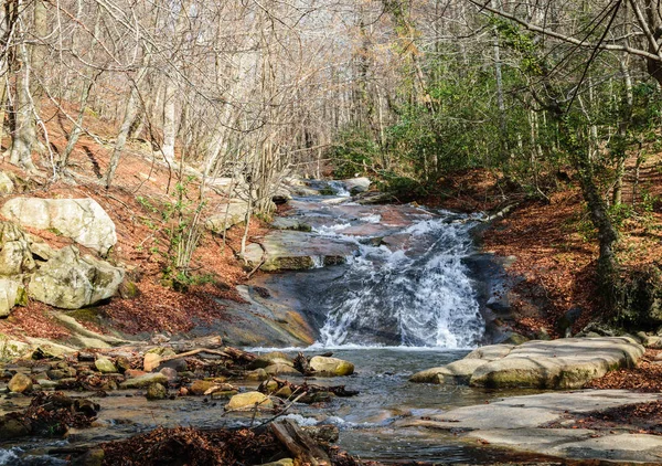 Ormandaki bir fırtınalı dağ nehir kıyısında
