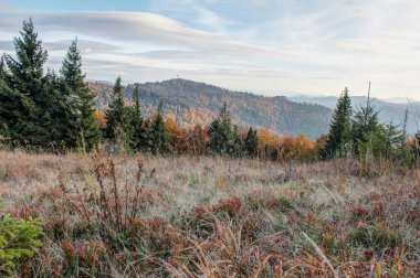 Dağlar ve sonbahar orman akşam görünümü