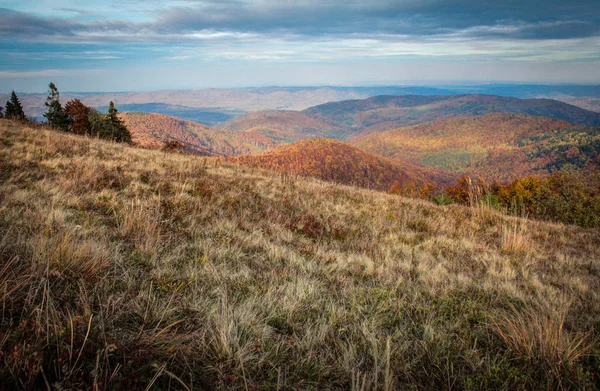 Evening View Mountains Autumn Forest — Stock Photo, Image