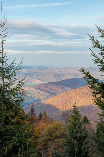 Evening View Mountains Autumn Forest — Stock Photo, Image