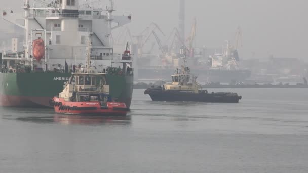 Dva tažné remorkéry a nákladní loď — Stock video