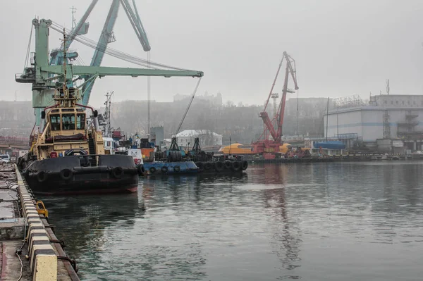 Port morski ładunków. Holownik, dźwig pływający, suchy statek towarowy i innej infrastruktury portu. — Zdjęcie stockowe