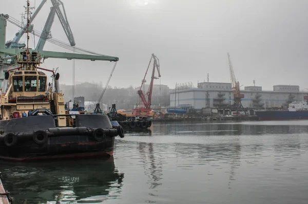 Porto de carga marítima. Rebocador, grua flutuante, navio de carga seca e outras infra-estruturas do porto . — Fotografia de Stock