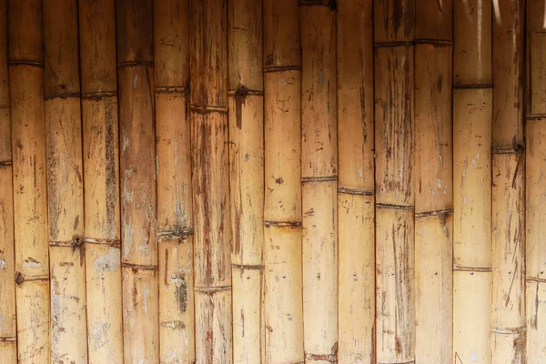 Texture de bambou sec exactement verticalement droite mur lumière de plancher. Concept de fond écologique naturel. Fond de texture de clôture en bambou jaune — Photo
