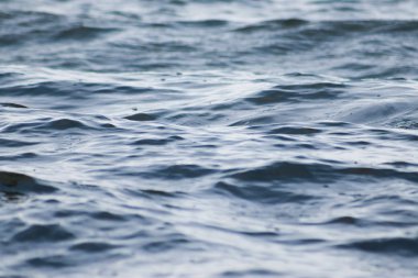 Düşük dalgalı güzel mavi deniz suyu yüzeyi. Deniz manzaralı arka plan. Sakin Kara Deniz Dalgaları. Yakın çekim, sığ odak.