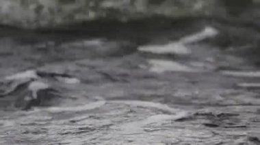 Düşük dalgalı güzel mavi deniz suyu yüzeyi. Deniz manzaralı arka plan. Sakin Kara Deniz Dalgaları. Yakın çekim, sığ odak. Düşük ışık
