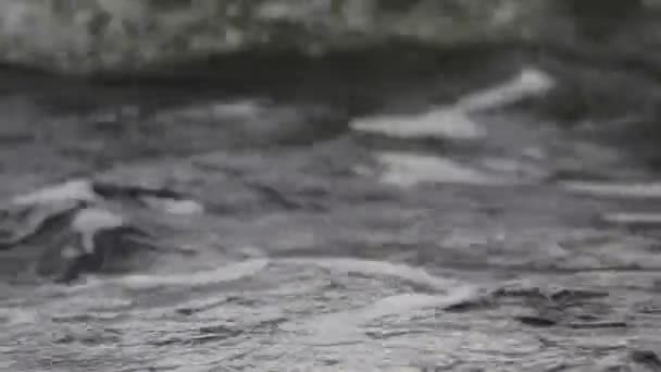 Hermosa Superficie Agua Mar Azul Con Olas Bajas Fondo Del — Vídeo de stock