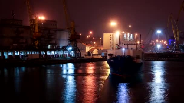 Shanghai China November 2019 Trockenliegeplatz Des Frachters Hafen Der Nacht — Stockvideo