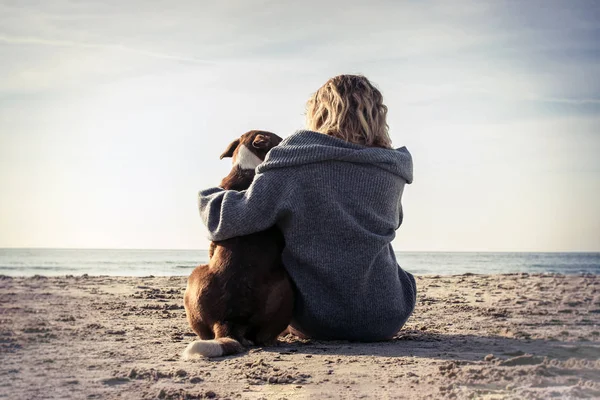 Genç bir kadın sahilde oturmuş köpeğe sarılıyor. Arkadaşlık kavramı. Kadın ve köpek kumsalda birlikte oturup güneşin doğuşunun tadını çıkarıyorlar. Arka plan görünümü renklendirilmiş resim