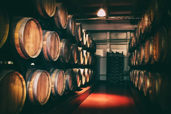 黑地窖里有酒的橡木桶. 现代葡萄酒的生产遵循了古老的传统。 膜下的噪声和大颗粒风化. 软焦点. — 图库照片