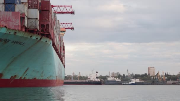 シンガポール 2020年5月8日 港内のコンテナ貨物船の積載量 造船所で働くクレーンブリッジとコンテナ貨物船の物流と輸送 タイムラプスビデオ — ストック動画