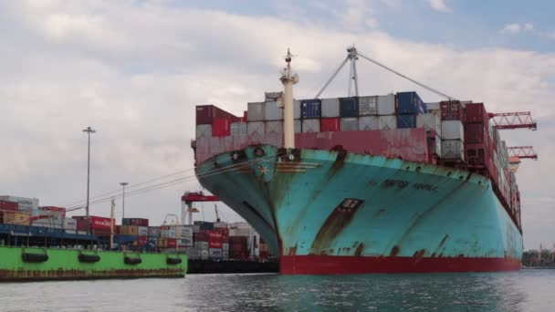 新加坡 2020年5月8日 港口集装箱货船载货 船厂工作起重机桥集装箱船的物流与运输 — 图库视频影像
