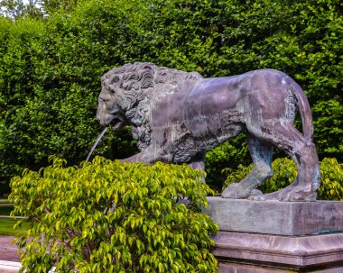 Peterhof aslan anıt
