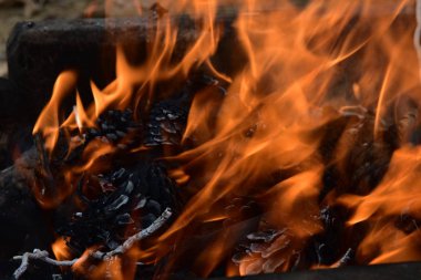 Çam kozalakları ile bir yangın yakın çekim