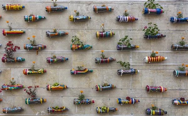 A hanging pot made with a recycled bottle — Stock Photo, Image