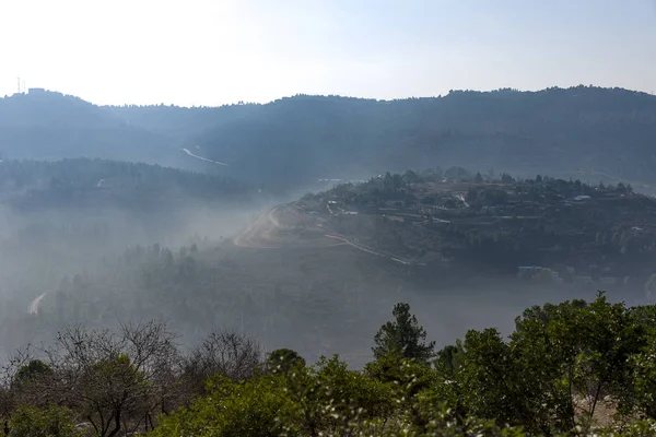 Aceitunas olivos en las montañas de Jerusalén . — Foto de Stock