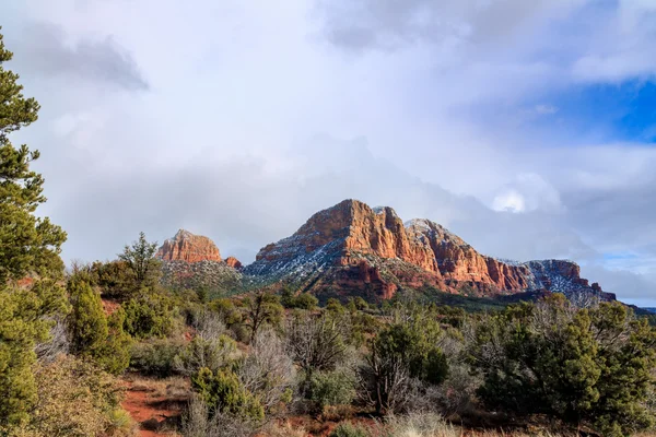 Forêts désertiques hautes et formations de grès rouge en Phoenix, Arizona — Photo