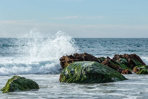 Wave at low tide breaking on rocks covered with eelgrass in Laguna Beach, California — Stock Photo, Image