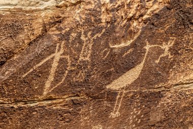 Taşlaşmış orman, Arizona, gazete Rock'da petroglifler