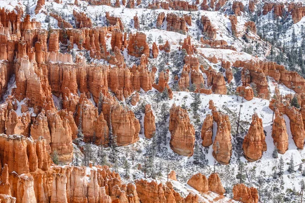 Collines couvertes de Hoodoos et de neige, Bryce Canyon, Utah — Photo
