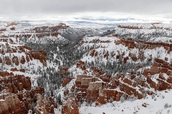 Panorama Bryce Canyon, arbres et hoodoos, couverts de neige — Photo