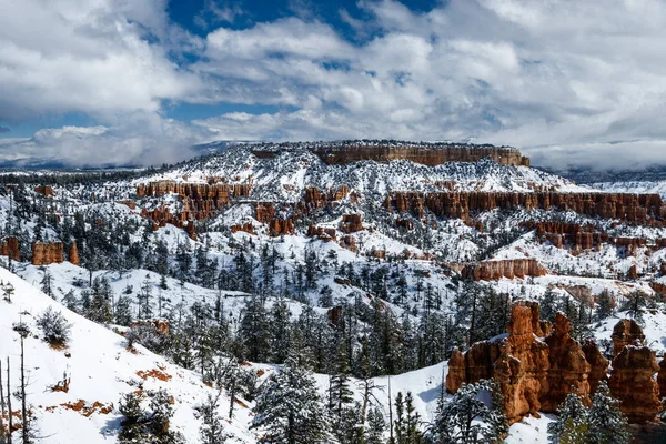 Collines enneigées et forêt à Bryce Canyon, Utah . — Photo