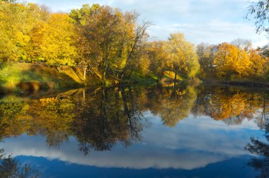 Sonbahar Orman, sarı ve kırmızı yaprakları ağaçlarda sonbahar, Sonbahar Park