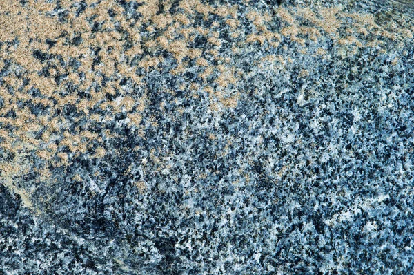 Sea stone in the sand, abstract background, natural texture of sand and stone — Stock Photo, Image