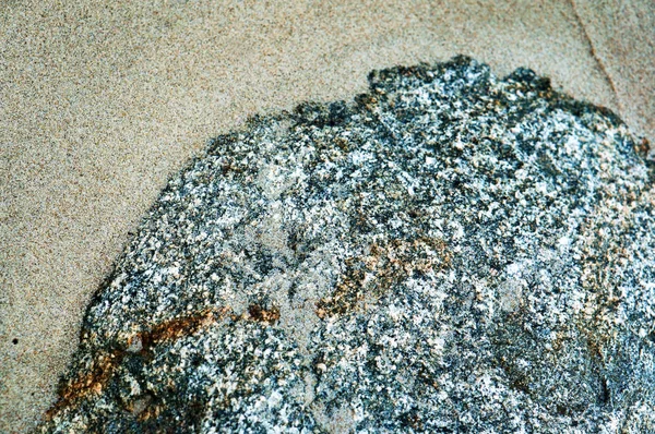 Sea stone in the sand, abstract background, natural texture of sand and stone — Stock Photo, Image