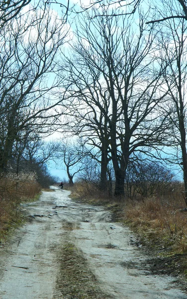 Brudna droga przez las — Zdjęcie stockowe