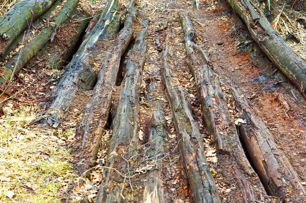 decrepit old rotten boards