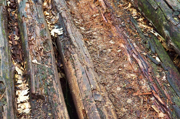 Viejo puente de madera podrida, decrépito viejas tablas podridas —  Fotos de Stock