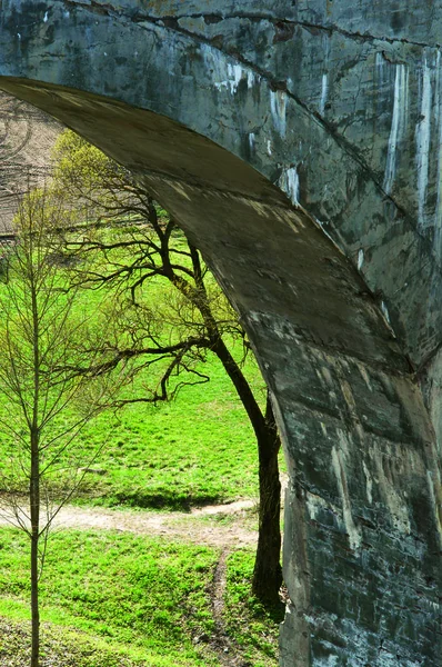 Bogen, Beton, Holz, Brücke, Stützen, Viadukt, Beton — Stockfoto