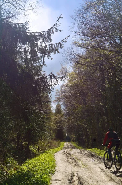 Fietser, bos, lopen, reizen, avontuur, trail, gezond, leven, rang, activiteit — Stockfoto