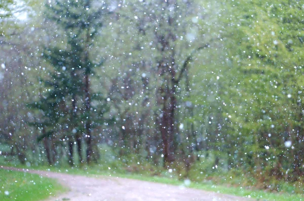 Snowy, regen, weer, slecht, sneeuw, winter, storm, hagel — Stockfoto