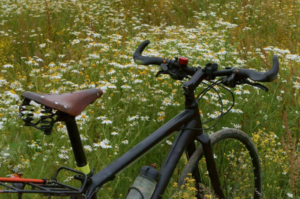 Veld, kamille, fiets relax, skate, sjouwen, wiel — Stockfoto