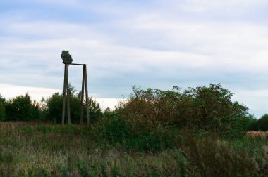 Stork's nest elektrik telleri, Polonyalılar, şehir dışında twist