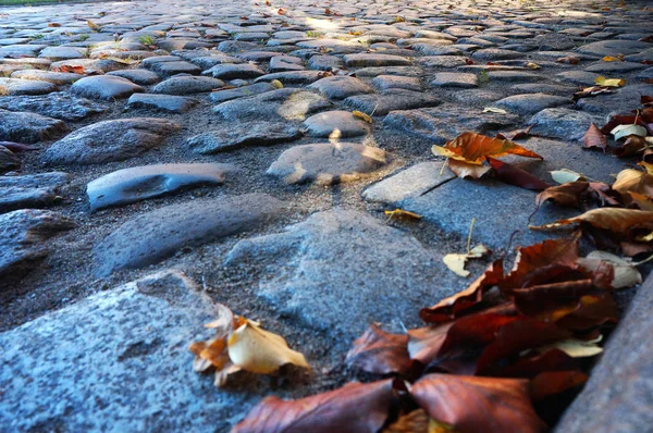 Fallen jesieni pozostawia na bruk, żółty i czerwony jesień samoc — Zdjęcie stockowe