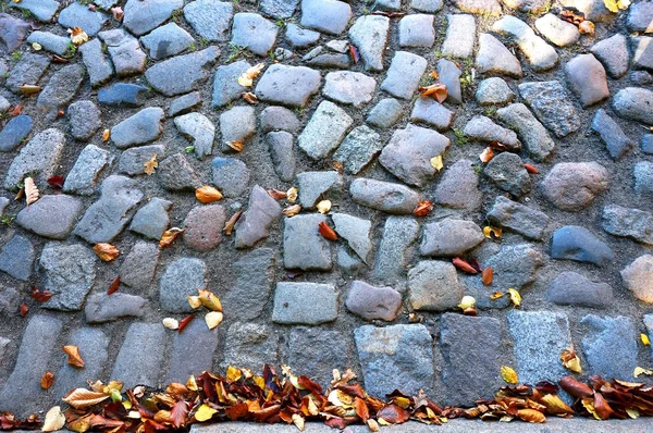 Падшие осенние листья на тротуаре — стоковое фото