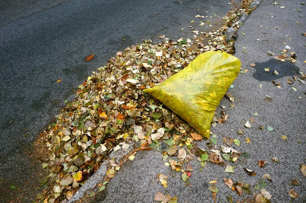 Sacos de lixo amarelos cheios de folhas caídas, limpando o stre — Fotografia de Stock