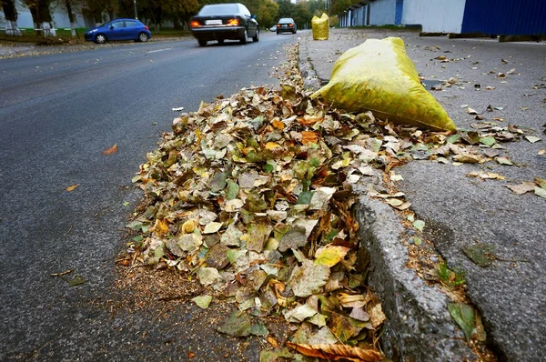 Sacos de lixo amarelos cheios de folhas caídas, limpando o stre — Fotografia de Stock