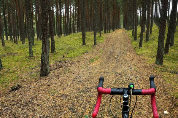 De fiets op de achtergrond van het bos track, racefiets met r — Stockfoto