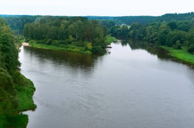 Büyük nehir, nehir arasında çalılıkları akar.