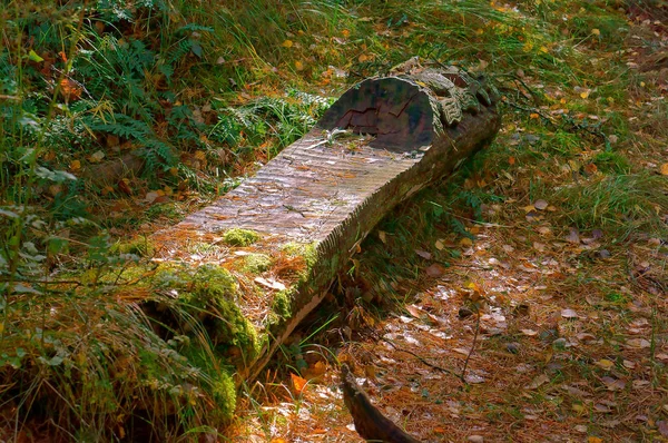 Banco de troncos, banco de madera en el bosque — Foto de Stock