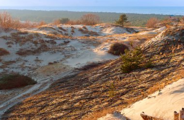 Kumul, kum ve çim tepelik deniz kıyısında