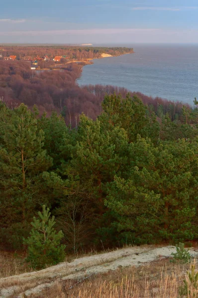 view of the sand dune, the sea and the forest from above, the vegetation and the sandy beach of the sea coast